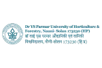 YSP University logo